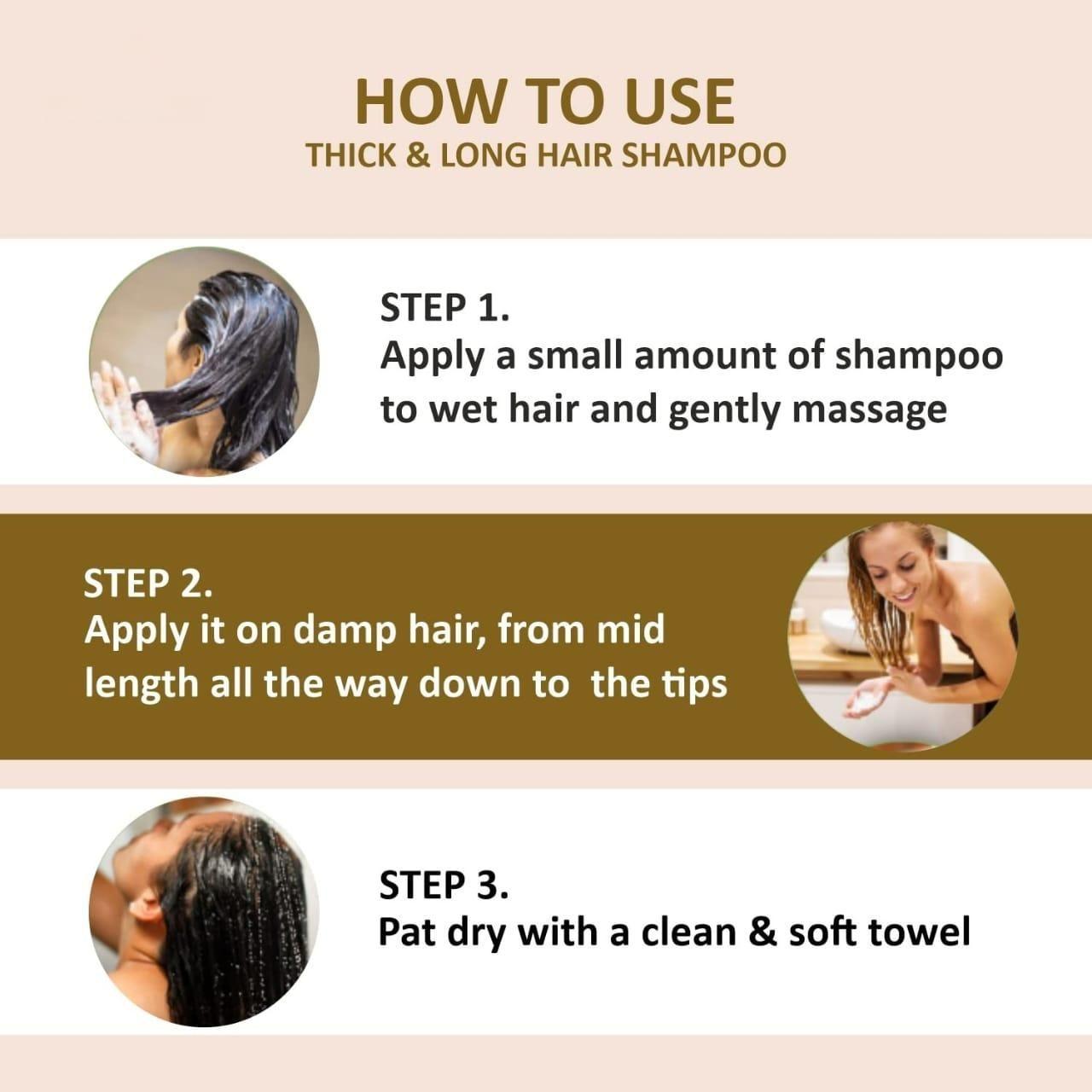 Organic Hair Shampoo with Ginger Extract (Pack of 2)