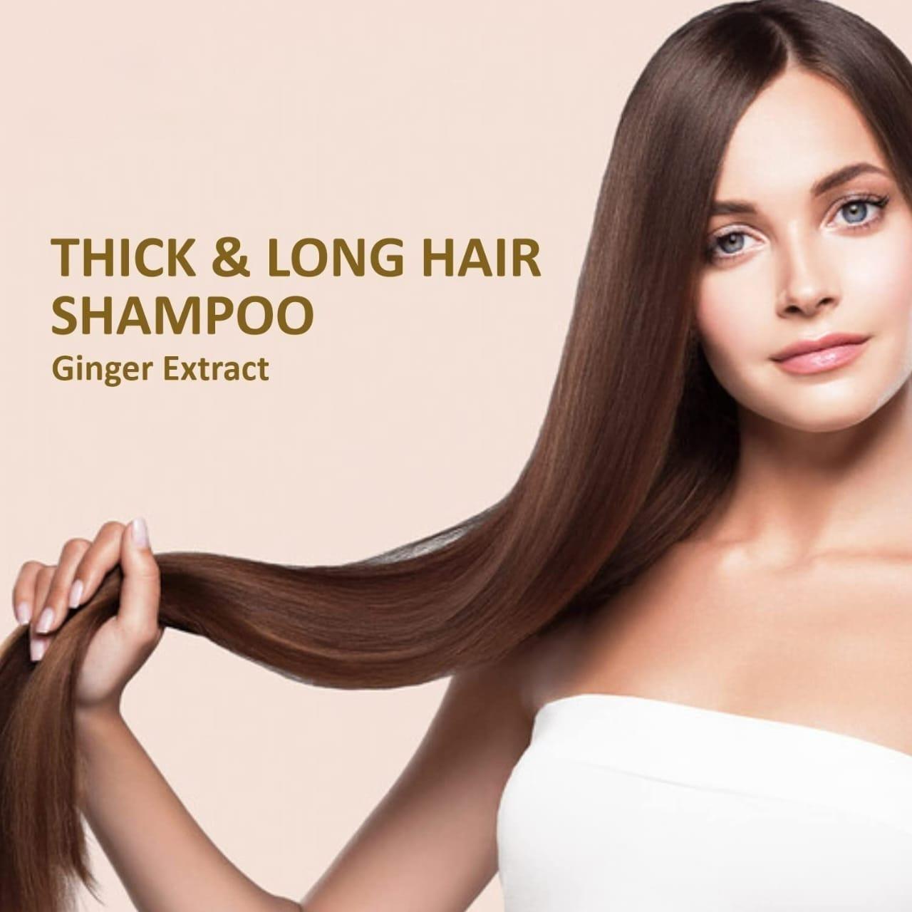 Organic Hair Shampoo with Ginger Extract (Pack of 2)
