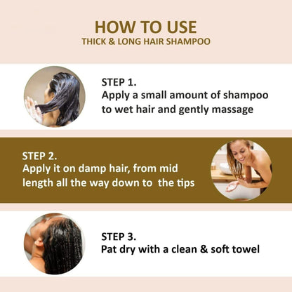 Organic Hair Shampoo with Ginger Extract (Pack of 2)